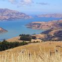 01 ChCh & Akaroa